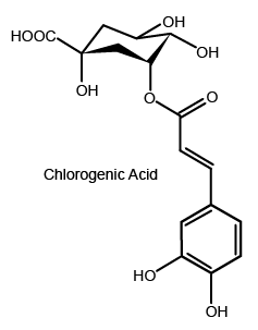 Chlorogenic acid is the synthesis of quinic acid and caffeic acid