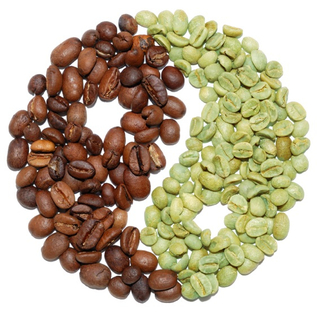 Cholorogenic acid is the compound in green coffee that helps you lose weight by reducing blood sugar levels, preventing fat formation and increasing fat burning.