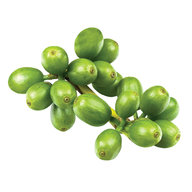 Green Coffee Bean Extract has beneficial antioxidant properties.